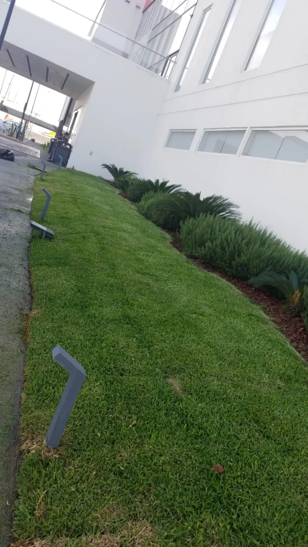 Pasto verde en contraste con fachada blanca