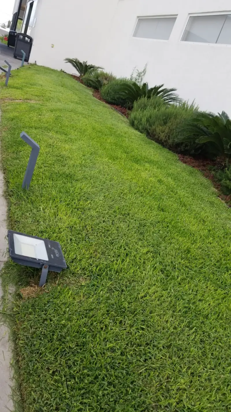 Pasto y jardín mantenidos