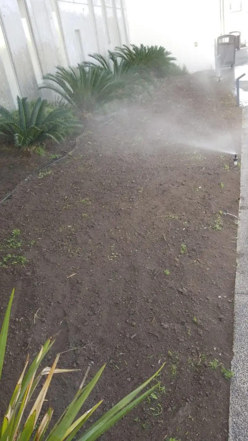 Sistema de riego en funcionamiento